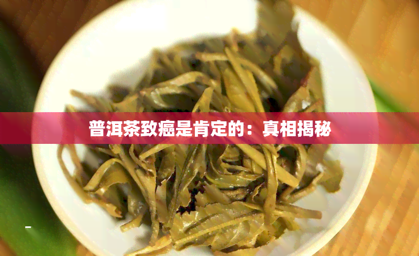 普洱茶致癌是肯定的：真相揭秘