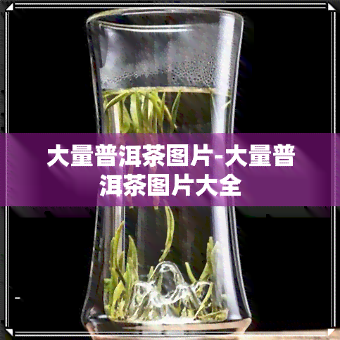 大量普洱茶图片-大量普洱茶图片大全