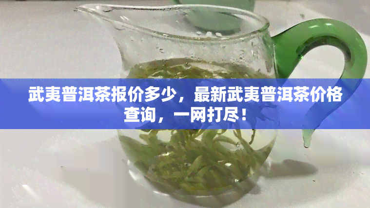 武夷普洱茶报价多少，最新武夷普洱茶价格查询，一网打尽！