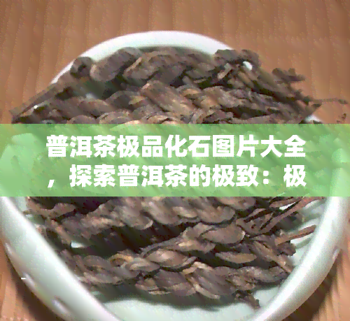 普洱茶极品化石图片大全，探索普洱茶的极致：极品化石图片全收录