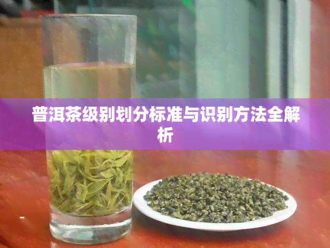 普洱茶级别划分标准与识别方法全解析