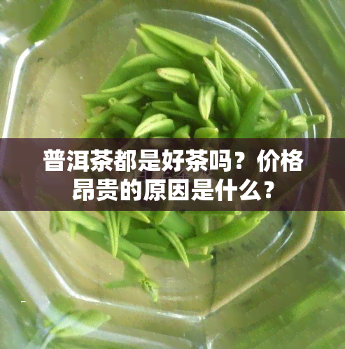 普洱茶都是好茶吗？价格昂贵的原因是什么？