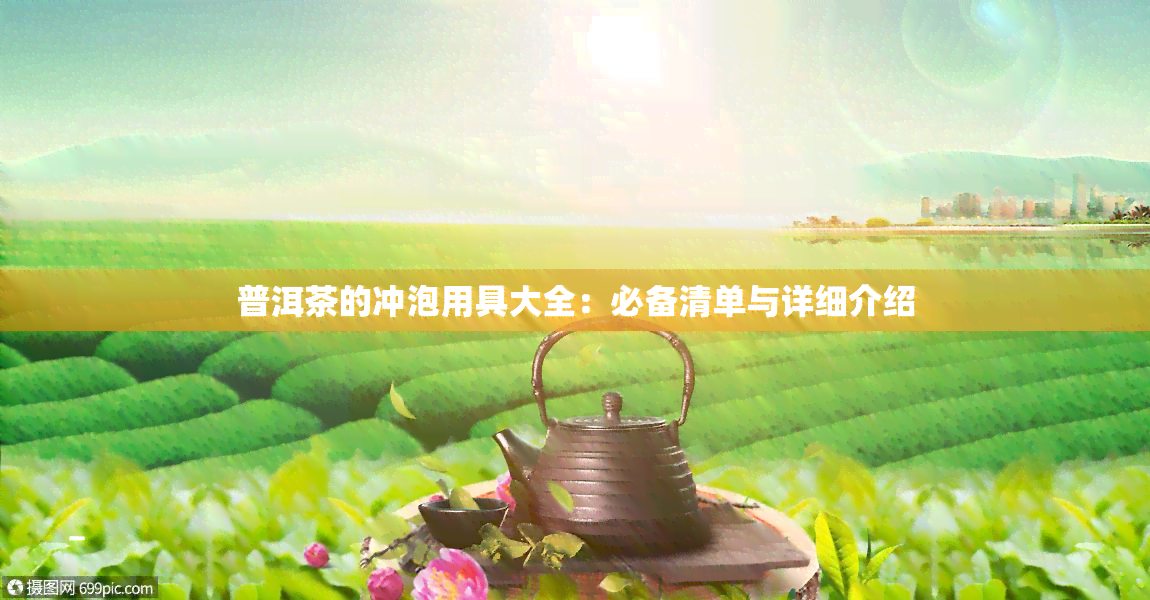 普洱茶的冲泡用具大全：必备清单与详细介绍