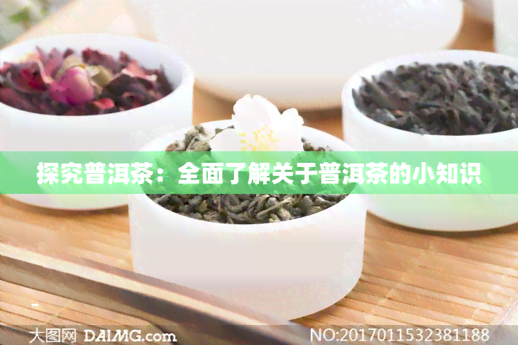 探究普洱茶：全面了解关于普洱茶的小知识