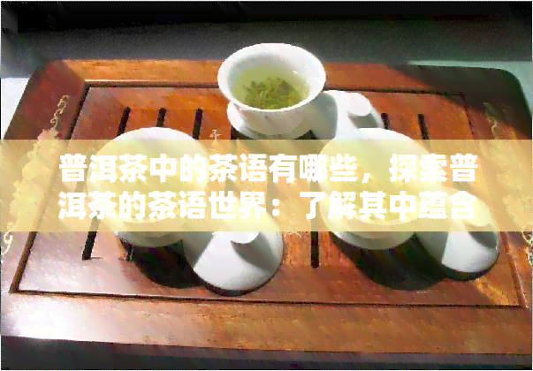 普洱茶中的茶语有哪些，探索普洱茶的茶语世界：了解其中蕴含的意义与故事