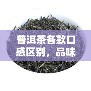 普洱茶各款口感区别，品味普洱：探索不同款式茶叶的独特口感差异