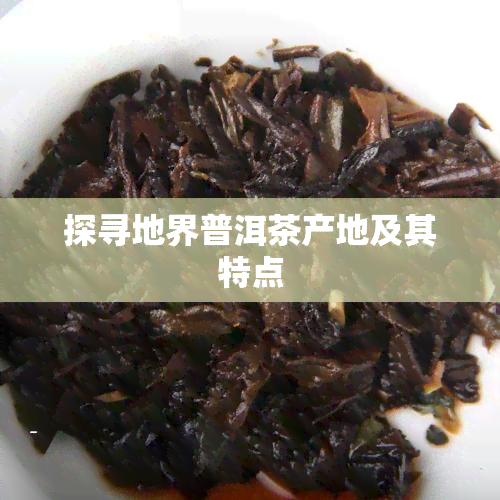 探寻地界普洱茶产地及其特点