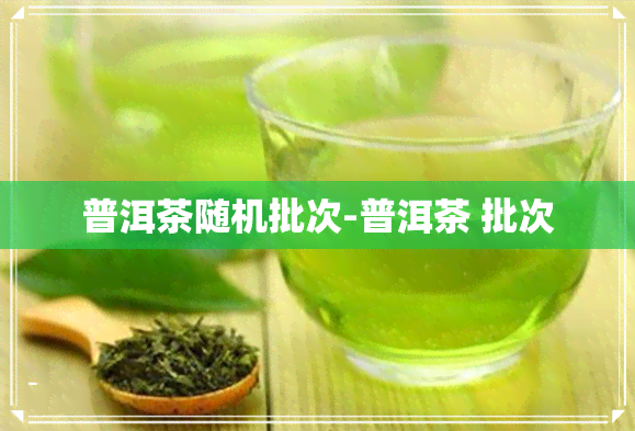 普洱茶随机批次-普洱茶 批次