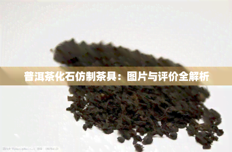 普洱茶化石仿制茶具：图片与评价全解析