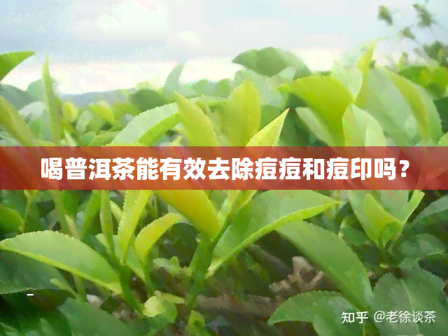 喝普洱茶能有效去除痘痘和痘印吗？