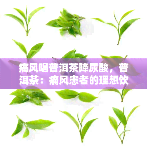 痛风喝普洱茶降尿酸，普洱茶：痛风患者的理想饮品，有效降低尿酸水平