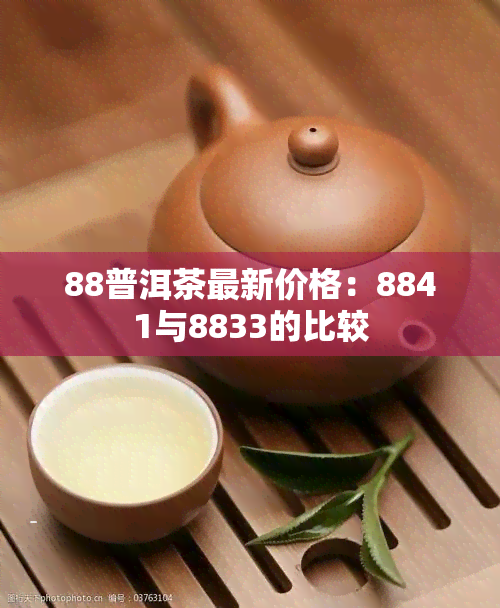 88普洱茶最新价格：8841与8833的比较