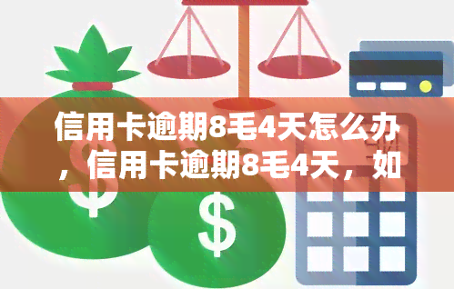 信用卡逾期8毛4天怎么办，信用卡逾期8毛4天，如何处理？