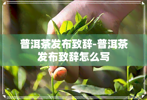 普洱茶发布致辞-普洱茶发布致辞怎么写