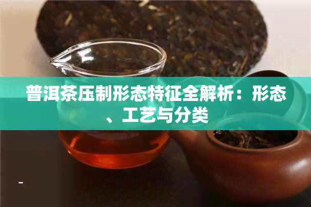 普洱茶压制形态特征全解析：形态、工艺与分类