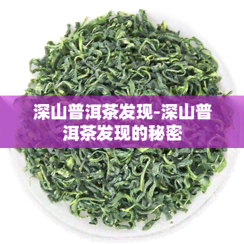 深山普洱茶发现-深山普洱茶发现的秘密