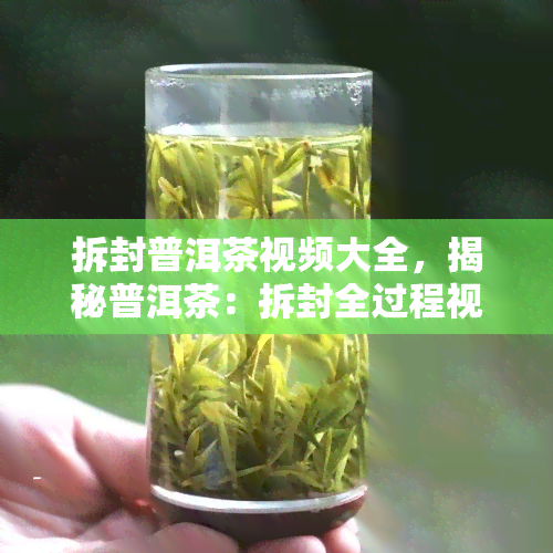 拆封普洱茶视频大全，揭秘普洱茶：拆封全过程视频大 *** ！