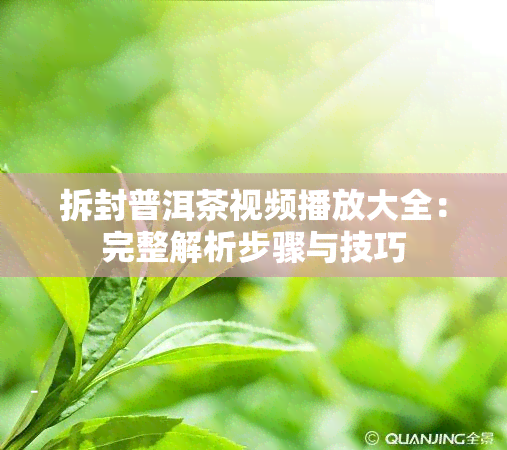 拆封普洱茶视频播放大全：完整解析步骤与技巧