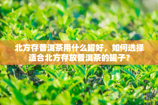 北方存普洱茶用什么罐好，如何选择适合北方存放普洱茶的罐子？