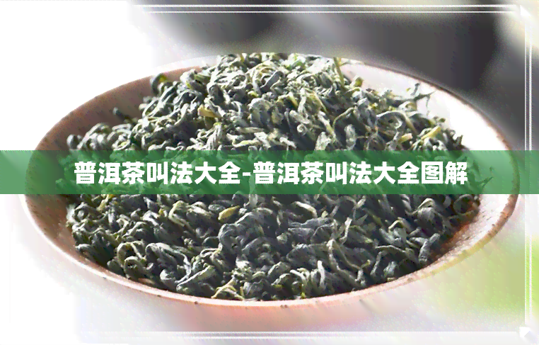 普洱茶叫法大全-普洱茶叫法大全图解