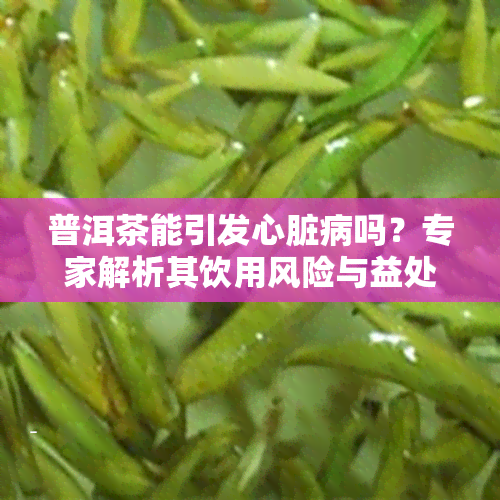 普洱茶能引发心脏病吗？专家解析其饮用风险与益处