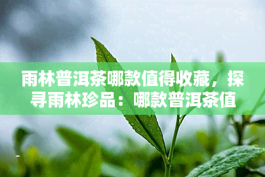 雨林普洱茶哪款值得收藏，探寻雨林珍品：哪款普洱茶值得收藏？