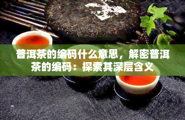 普洱茶的编码什么意思，解密普洱茶的编码：探索其深层含义