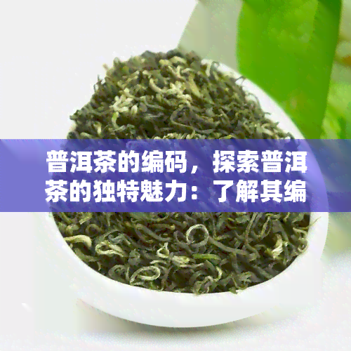 普洱茶的编码，探索普洱茶的独特魅力：了解其编码和制作工艺