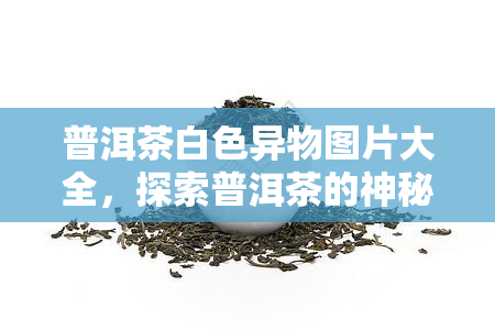 普洱茶白色异物图片大全，探索普洱茶的神秘面纱：揭秘白色异物的图片大全