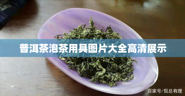 普洱茶泡茶用具图片大全高清展示