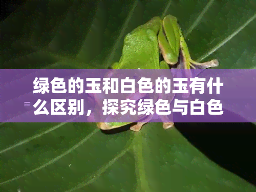 绿色的玉和白色的玉有什么区别，探究绿色与白色玉的不同之处：颜色、质地和价值的差异