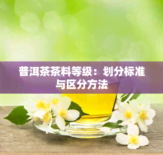 普洱茶茶料等级：划分标准与区分方法