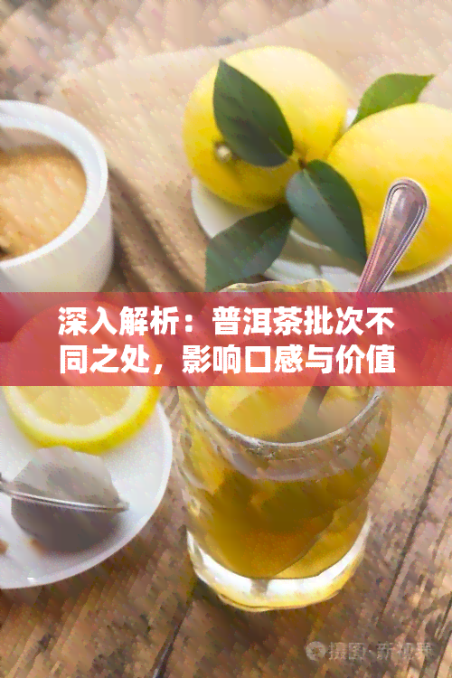 深入解析：普洱茶批次不同之处，影响口感与价值的关键所在