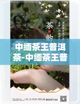 中缅茶王普洱茶-中缅茶王普洱茶价格表