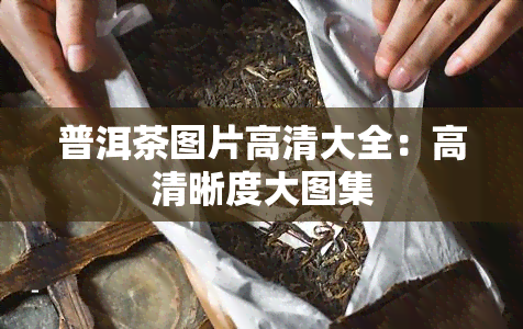 普洱茶图片高清大全：高清晰度大图集