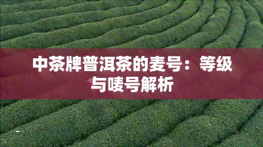 中茶牌普洱茶的麦号：等级与唛号解析