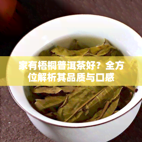 家有梧桐普洱茶好？全方位解析其品质与口感