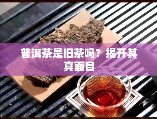 普洱茶是旧茶吗？揭开其真面目