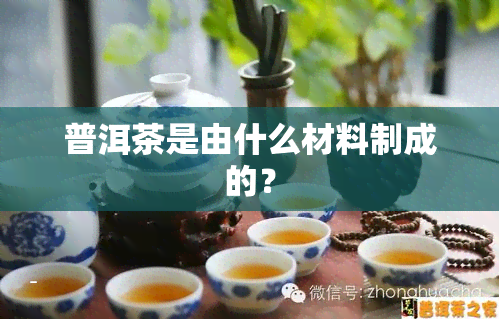 普洱茶是由什么材料制成的？