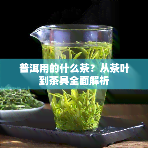 普洱用的什么茶？从茶叶到茶具全面解析