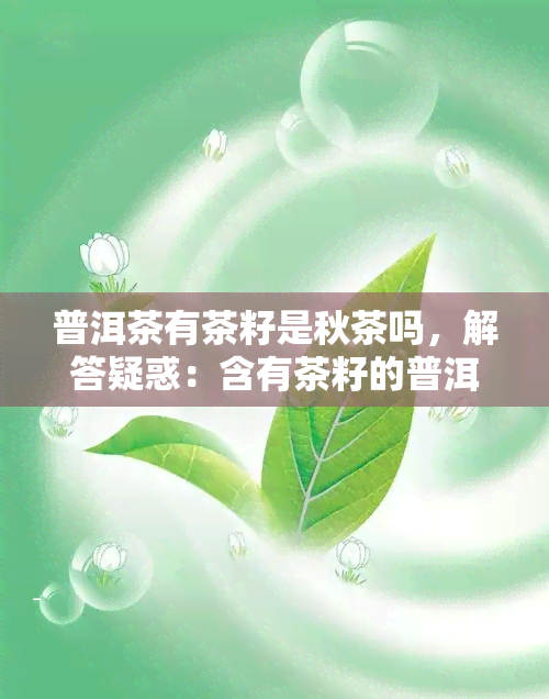 普洱茶有茶籽是秋茶吗，解答疑惑：含有茶籽的普洱茶是否为秋茶？