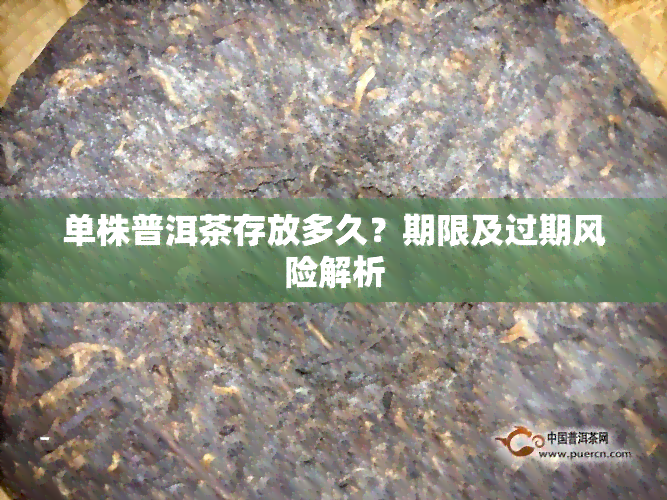 单株普洱茶存放多久？期限及过期风险解析