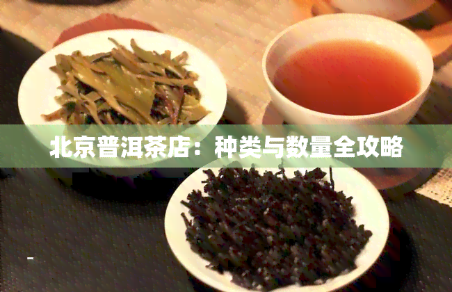 北京普洱茶店：种类与数量全攻略