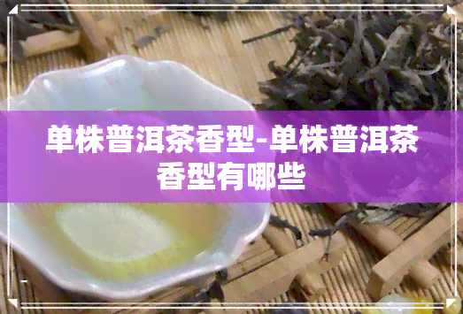 单株普洱茶香型-单株普洱茶香型有哪些