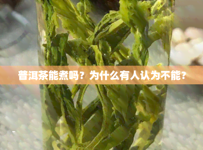 普洱茶能煮吗？为什么有人认为不能？