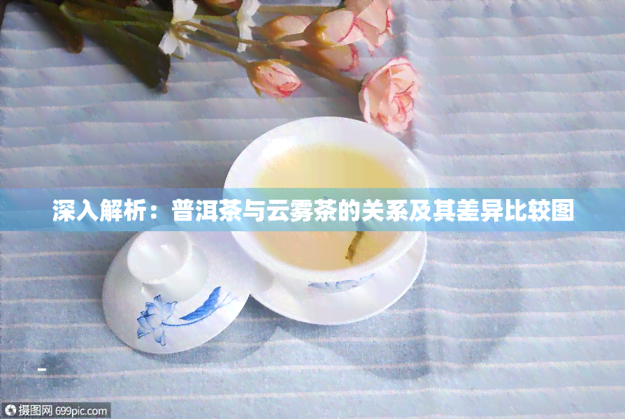 深入解析：普洱茶与云雾茶的关系及其差异比较图