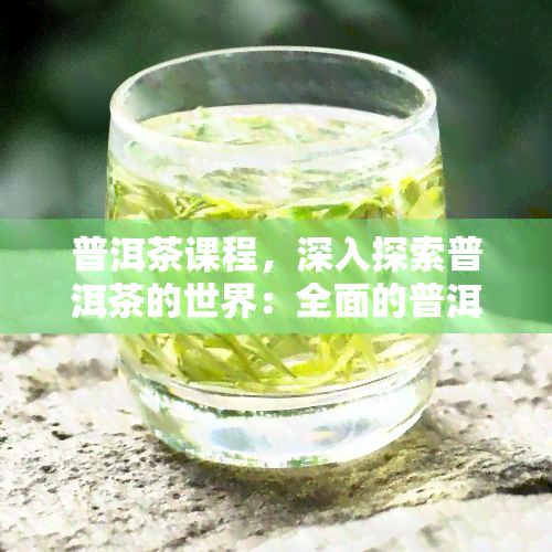 普洱茶课程，深入探索普洱茶的世界：全面的普洱茶课程指南