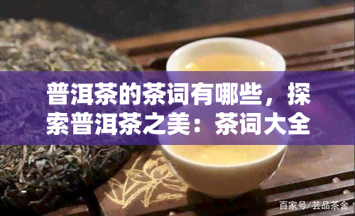 普洱茶的茶词有哪些，探索普洱茶之美：茶词大全