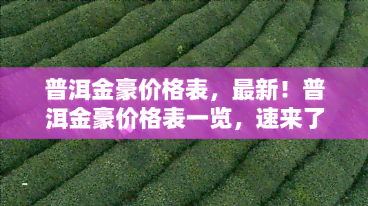 普洱金豪价格表，最新！普洱金豪价格表一览，速来了解！