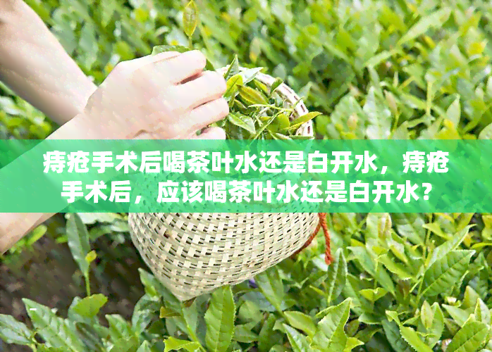 痔疮手术后喝茶叶水还是白开水，痔疮手术后，应该喝茶叶水还是白开水？